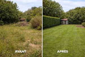 Photo de galerie - Remise en état jardin