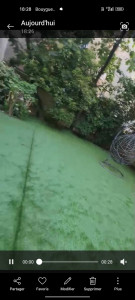 Photo de galerie - Gazon synthétique 