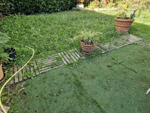 Photo de galerie - Dalles en bois avant désherbage 