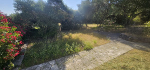 Photo de galerie - Tonte de pelouse - Débroussaillage