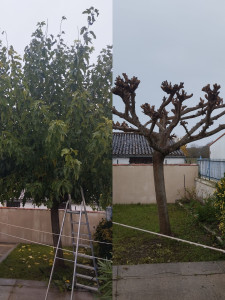 Photo de galerie - Avant/après 