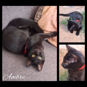 Photo de galerie - Bébé Ambre ❤️ Août 2025