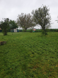 Photo de galerie - Debroussaillage 