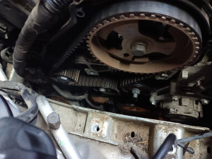 Photo de galerie - Distribution 