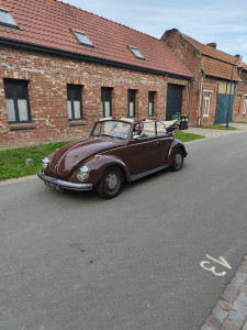 Photo de galerie - Restauration cox 1971

