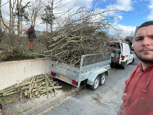 Photo de galerie - Elagage et coupe d'arbres