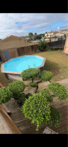 Photo de galerie - Entretien de ce jardins et taille