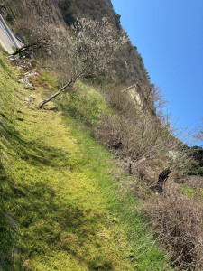 Photo de galerie - Débroussaillage 