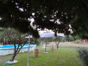 Photo de galerie - Mon jardin