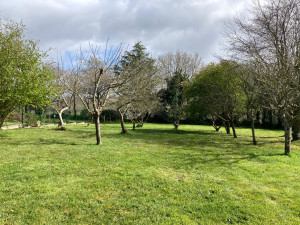 Photo de galerie - Entretien de verger