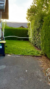Photo de galerie - Exemple de taille de haie : La partie encadrée est la partie taillée, tandis que la partie de droite n'est pas encore taillée
