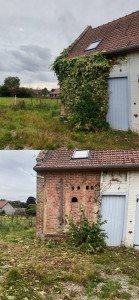 Photo de galerie - Un avant /après de l’enlèvement d’un lierre sur une façade 