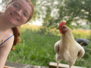 Photo de galerie - Je me suis occupé de poules 