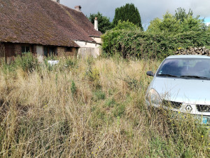 Photo de galerie - Tonte de pelouse - Débroussaillage