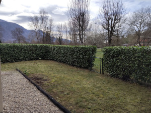 Photo de galerie - Taille de haies et d'arbustes