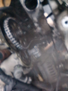 Photo de galerie - Chaîne 