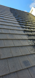 Photo de galerie - Couverture - Toiture