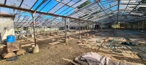 Photo de galerie - Débroussaillage, et ratissage sous une serre de 4000m²