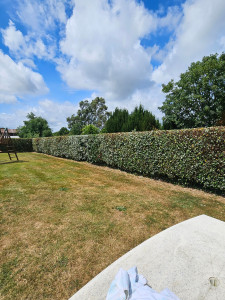 Photo de galerie - Paysagiste - Aménagement du jardin