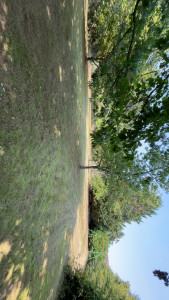 Photo de galerie - Tonte de pelouse - Débroussaillage