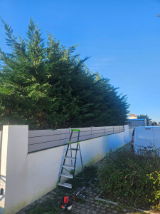 Photo de galerie - Elagage et coupe d'arbres