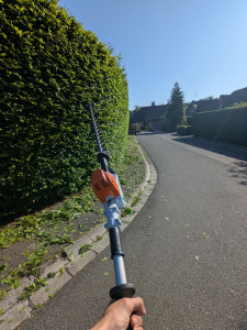 Photo de galerie - Taille de haies et d'arbustes