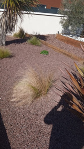 Photo de galerie - Entretien de massif sur Mios
