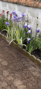 Photo de galerie - Bonjour, je vous propose d’entretenir votre petit jardin