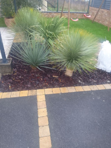 Photo de galerie - Amenagement exterieur
