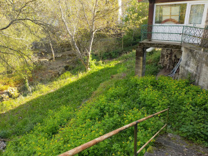 Photo de galerie - Tonte de pelouse - Débroussaillage