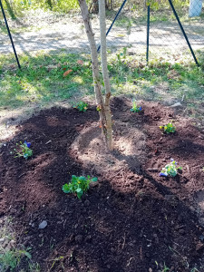 Photo de galerie - Paysagiste - Aménagement du jardin