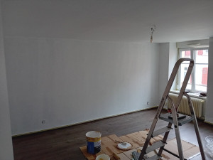 Photo de galerie - Appartement entierement repeint murs plafonds 