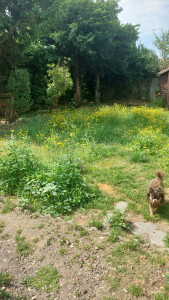 Photo de galerie - Tout style de jardin 