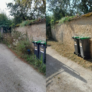 Photo de galerie - Tonte de pelouse - Débroussaillage