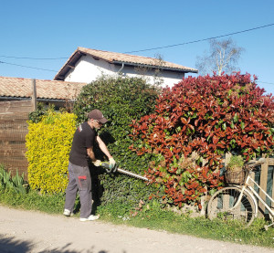 Photo de galerie - Taille-haies électrique sur batterie