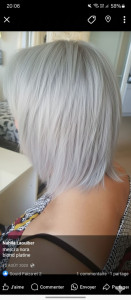 Photo de galerie - Blond polaire 