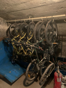 Photo de galerie - Les vélos du centre de loisirs n’ont pas roulé depuis longtemps !