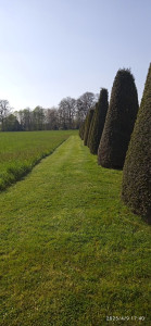 Photo de galerie - Entretenir/ Tailler 