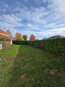 Photo de galerie - Taille de haies et d'arbustes