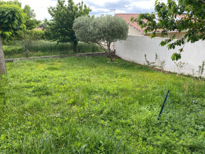 Photo de galerie - Tonte de pelouse - Débroussaillage