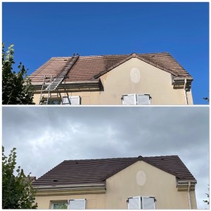 Photo de galerie - Peinture Toiture 