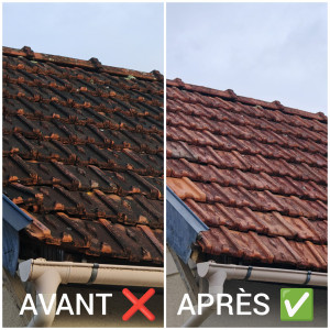 Photo de galerie - Démoussage toiture