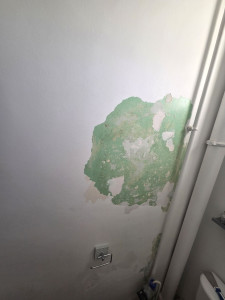 Photo de galerie - Peinture - Tapisserie