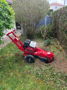 Photo de galerie - Rognage de souches