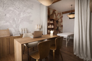 Photo de galerie - Création d'un cabinet d'osteophatie à Toulouse. 