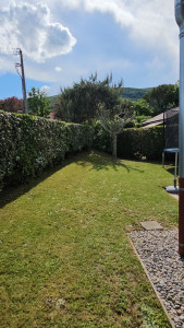 Photo de galerie - Taille de haie et élagage du pommier.