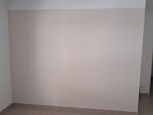Photo de galerie - Peinture salon en blanc avec un pan de mur beige 