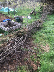 Photo de galerie - Création de bute