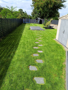 Photo de galerie - Tonte de pelouse - Débroussaillage