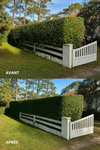 Photo de galerie - Taille soignée de haie pour un rendu net, structuré et harmonieux, tout en respectant la forme naturelle du végétal